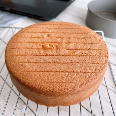 フッ素加工 ベイクウェア デコレーション型 丸型 底取 12cm~ 焼き型 ケーキ型 製菓