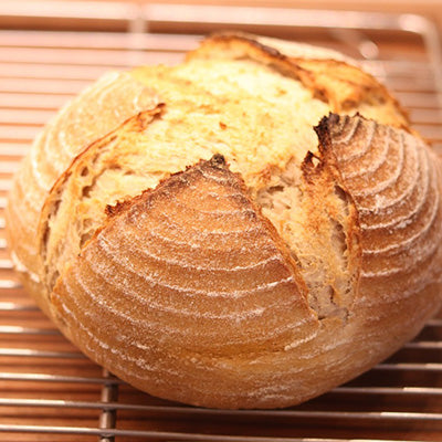 籐製(とうせい)醗酵カゴ 丸型 天然素材 カンパーニュ 製パン