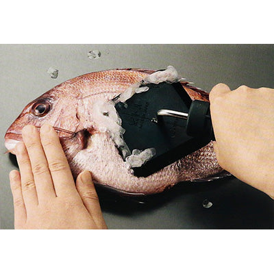 ウロコトル うろこ 鱗 ウロコ取る 幅広い魚に対応 日本製