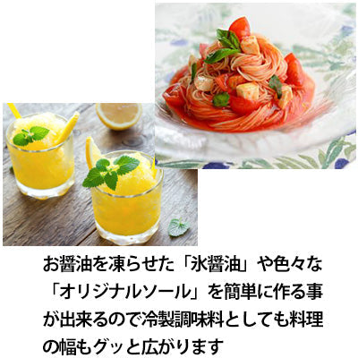 パウダーアイスメーカー 液体から瞬間製氷(かき氷・カキ氷・冷製料理・ふわふわ氷・粉雪氷・かき氷器) 日本製