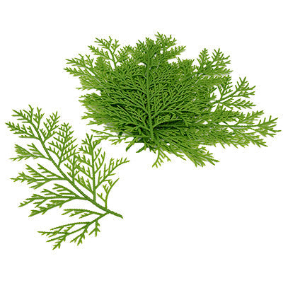 模造野菜 ヒバ 盛り付け(10枚入)