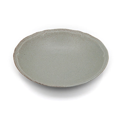 磁器製 超軽量食器 美濃焼 パスタ 22cm 2枚セット （電子レンジ・食洗器対応） 日本製 シンプルな和食器 グレー