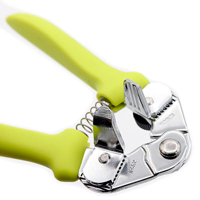 ギンナン割り ぎんなん ぼうず(新型) 実が潰れずキレイに割れる 銀杏 約15cm