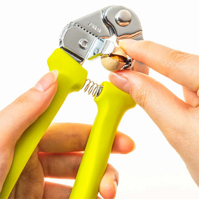 ギンナン割り ぎんなん ぼうず(新型) 実が潰れずキレイに割れる 銀杏 約15cm　日本製