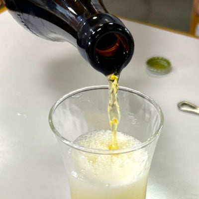 ステンレス製 フラット栓抜 10cm ビン キャップ