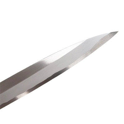 堺菊孝 霞研 改良正夫 30cm