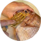 アイコン